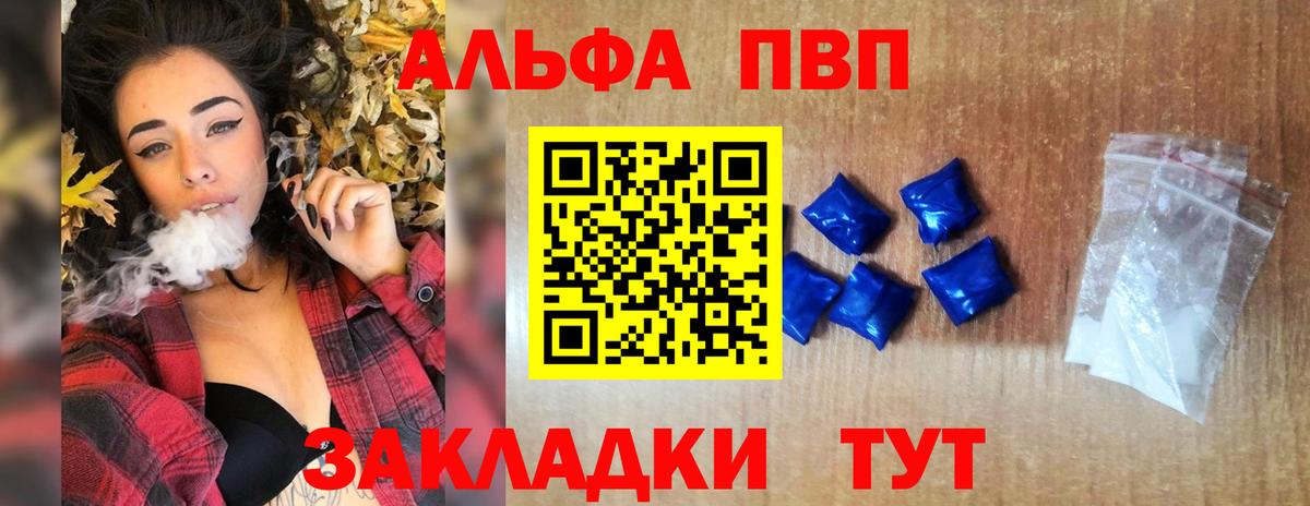 A PVP СК КРИС Новоалександровск