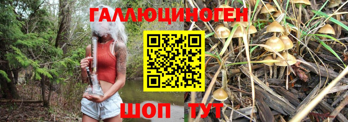 купить наркотик  Псилоцибиновые грибы прущие грибы  Галлюциногенные грибы мухоморы  Вход с VPN  Новоалександровск 