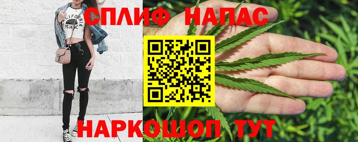Конопля ГИДРОПОН Новоалександровск